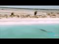 Travel Guide - Turks & Caicos