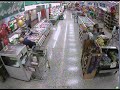 Police need public's help to ID purse-snatching thief