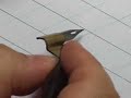 Pointed Pen Copperplate Calligraphy 02