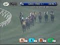 Arturo Lyon Stakes Grade 1 2008 - Scarlet Arturo Lyon Stakes Grade 1 2008 - Scarlet
