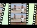 Gary LaPointe's The Big Trip Video Application