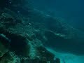 Diving at Kenya Part 1