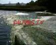 duffus