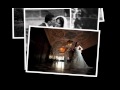 Video YouTube Video