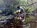 perfect sunday afternoon mudding on trx350 with excutioners