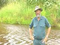 Traveston Crossing Flows
