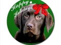 Dog Christmas Ornaments For Dog Lovers 