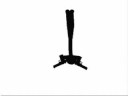 deage test pivot