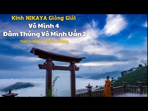 Kinh NIKAYA Giảng Giải - Vô Minh 4 - Đâm Thủng Vô Minh Uẩn 2