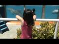 videos de Aquarium Mar del Plata, Stasher watching the Dolphins