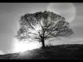 SKC and Bratwa - Solitude