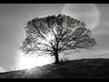 SKC and Bratwa - Solitude