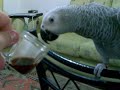 video121.mp4