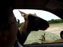 Zoo fun 5