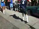 Bay 2 Breakers 2008
