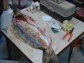 Fish Taxidermy - Zander