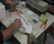 Fish Taxidermy - Zander