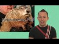 Happy Groundhog Day Punxsutawney Phil! #thatsanono