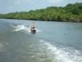 Asian Carp Jumping Behind Kneeboarder