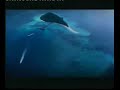 1Borneo Hypermall TV Ad