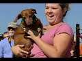 Wiener Fest Brazos Animal Shelter