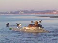 Brant Hunt.... the Bankes one man layout Brant Hunt.... the Bankes one man layout