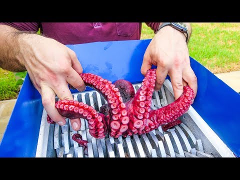 GIANT OCTOPUS VS FAST SHREDDER! COOL EXPERIMENT
