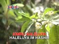 Haleluia (en karaoke, con fonetica en espa�ol)