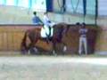 Ulla Salzgeber Dressage Warm Up Professional Competition