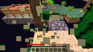 Minecraft, Tiny Island Survival Ep6, ElRichMC muerto.