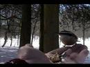 Chickadees & Nuthatches hand fed Chickadees & Nuthatches hand fed