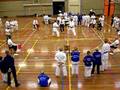 videos de 16-11-2008 JKA Nederland Kumite