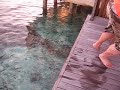 Maldives W hotel Maldives W hotel