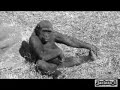 REGRESO AL PLANETA DE LOS MONOS