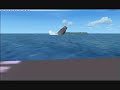 Memorial day tribute to the USS Belleau wood in Flight simul