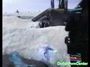 Halo 3 Beta Montage