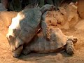 ZOO