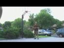 Dunks