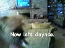 Sprouts Blog #2: Dee Elecshun.