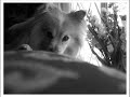 Digital Photography: Roll 4