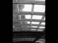 Digital Photography: Roll 4