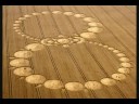 CROP Circles 2008 and waiting 4 part 3 CROP Circles 2008 and waiting 4 part 3