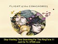 Flight of the Conchords - Hurt Feelings (Live at Radio City)