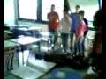 scuola zoo giornata haway
