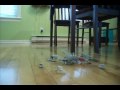 Optimus and Autobots meet bionicle. And are not happy! Optimus and Autobots meet bionicle. And are not happy!