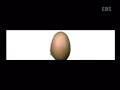 bullet slowmotion