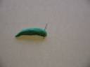 Sluggie\ Sluggie\