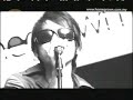 Bittersweet - In Bloom