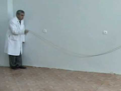 Fizika 8. Eninə dalğanın yaranması