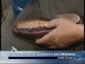 El zapatero de Ainsa